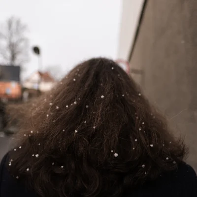 Martin Wenisch avatar